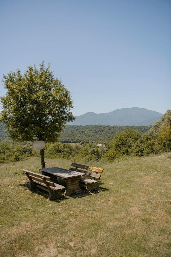 La Granera Διαμέρισμα Χιρόνα Εξωτερικό φωτογραφία